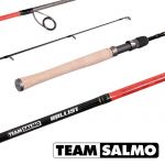 Спининг рыболовный BALLIST TEAM SALMO TSBA1-591F 